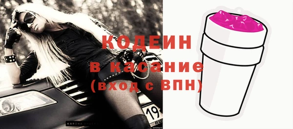 сатива Лабытнанги