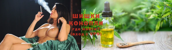 сатива Лабытнанги