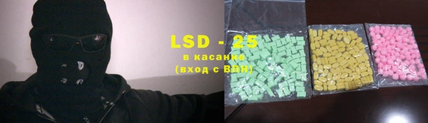 сатива Лабытнанги