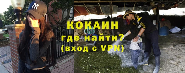 сатива Лабытнанги