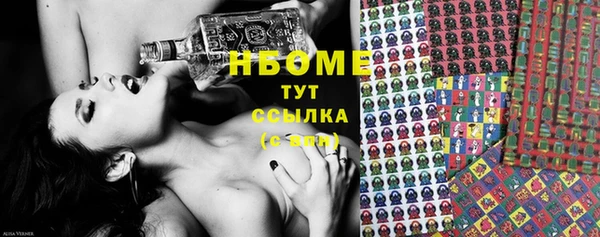сатива Лабытнанги