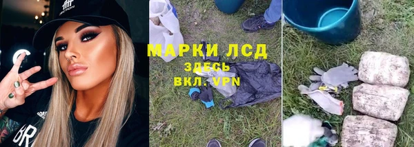 сатива Лабытнанги