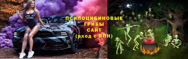 сатива Лабытнанги