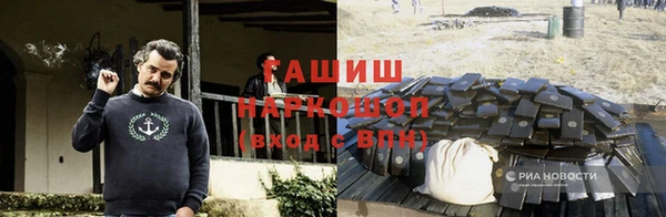 сатива Лабытнанги